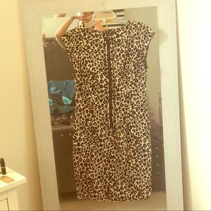 Leopard print work dress with exposed zipper